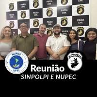 Reunião SINPOLPI e NUPEC