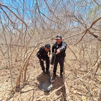 WhatsApp Image 2025-12-05 at 08.32.33